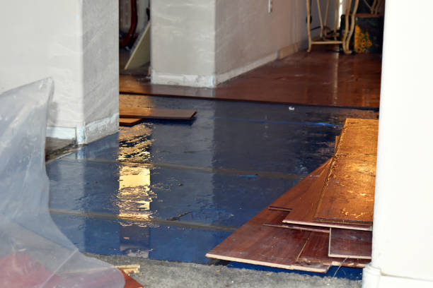 Professional Water Damage Restoration technician working in Omaha, TX